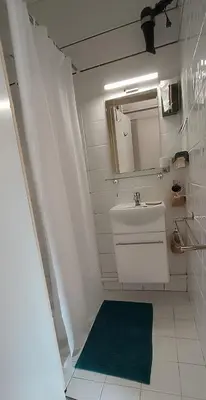 a bathroom with a sink and a mirror and a green rug at Vue exceptionnelle tout en haut des montagnes, dépaysement total ! in Camurac