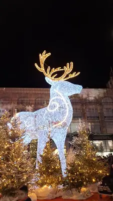 a statue of a reindeer with lights on it at Hébergements Narbonne centre - Local vélos et motos in Narbonne