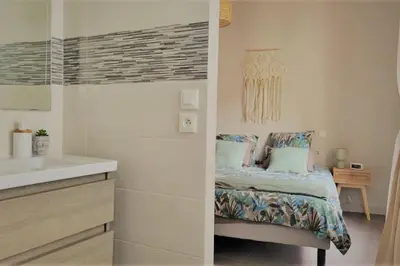 a bathroom with a shower and a potted plant at Superbe T2 cosy plein centre in Narbonne