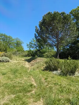 a tree on top of a grassy hill with a tree at Le Gîte de Berignac in Antugnac