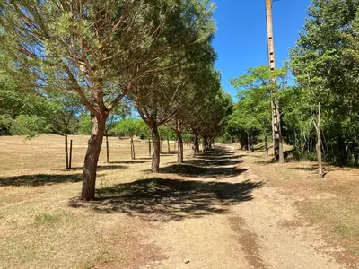 a row of trees on a dirt road at Saint laurent de la cabrerisse Rivière proche Lagrasse in Saint-Laurent-de-la-Cabrerisse