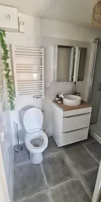 a bathroom with a white toilet and a sink at 4-Pieds Cité - Barbacane - Historique - Romantique - Clim in Carcassonne