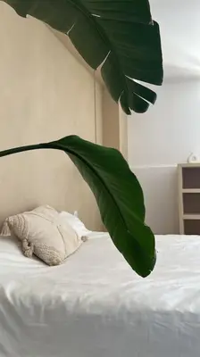 a large green leaf above a bed with a stuffed animal at Maison Bacchus, gîte insolite dans cuve à vin in Caves