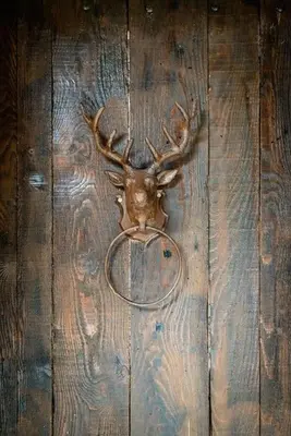 a deer head with antlers on a wooden door at Secluded home in Le Caunil in Salvezines