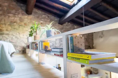 a row of books on a shelf in a room at Secluded home in Le Caunil in Salvezines