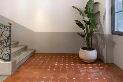 a potted plant sitting on a floor next to a staircase at Thomas Price Appart in Narbonne