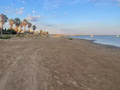 a sandy beach with palm trees and the ocean at Studio vue mer et plage in Gruissan