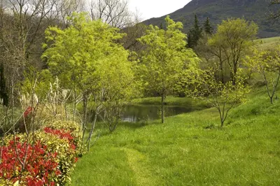 a pond in a field with trees and grass at Roulotte in Bugarach