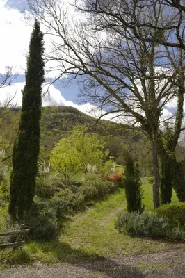 a park with a bench and a tree and bushes at Roulotte in Bugarach