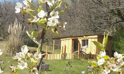 a small wooden cabin in a field with white flowers at Roulotte in Bugarach