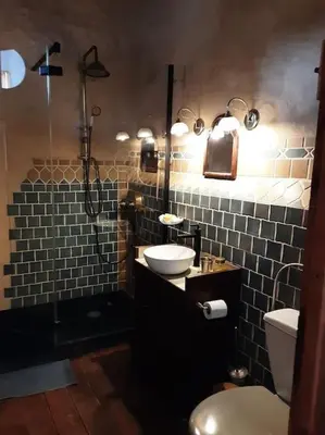 a bathroom with a toilet and a sink and a shower at Gîte Dűrer in Fanjeaux