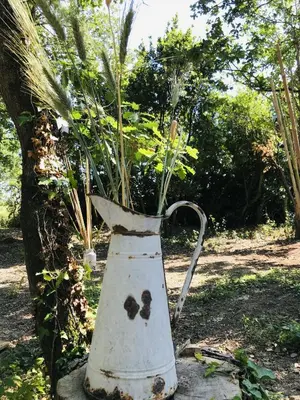 a vase with a plant in it next to a tree at Ô cocon del Lauragués in Ricaud
