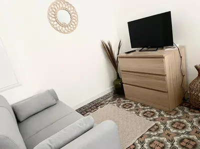 a living room with a couch and a flat screen tv at Le Briguiboul l Rez-de-chaussée l Stationnement gratuit in Castres