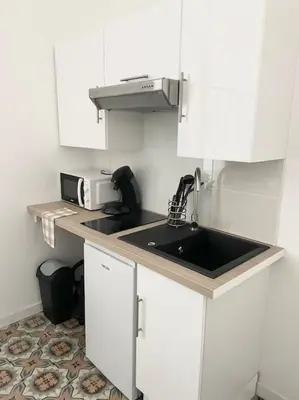a kitchen with a sink and a microwave at Le Briguiboul l Rez-de-chaussée l Stationnement gratuit in Castres