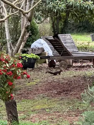 a picnic table in a garden with flowers at ChezMathilde à LIMOUX in Limoux