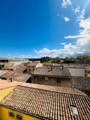 an overhead view of a city with roofs at Le Charmant Boisé - T2 Centre Ville 7 min Cité Médiévale in Carcassonne