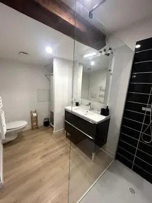 a bathroom with a sink and a toilet and a mirror at Cocon chaleureux au coeur de Mirepoix in Mirepoix