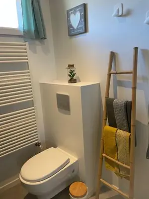 a bathroom with a toilet and a towel rack at Charmante maison de ville in Mirepoix