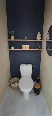a bathroom with a white toilet in a blue wall at Charmante maison in Carcassonne