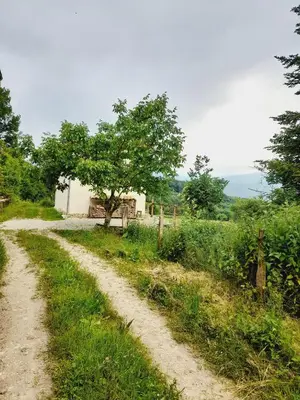 a dirt road in a field with a tree at Cozy Tiny House plus SPA - à Pereille d'en Haut in Péreille