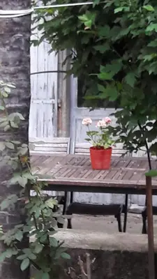 a picnic table with a pot of flowers on it at Chambre d'hote la passerelle in Mazamet