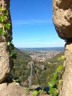 a view of a bridge in the middle of a forest at Chambre d'hote la passerelle in Mazamet