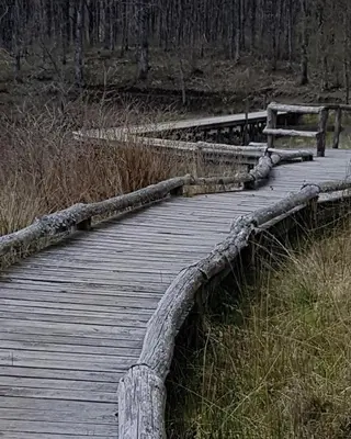 a wooden boardwalk with a bench on top of a field at Chambre d'hote la passerelle in Mazamet