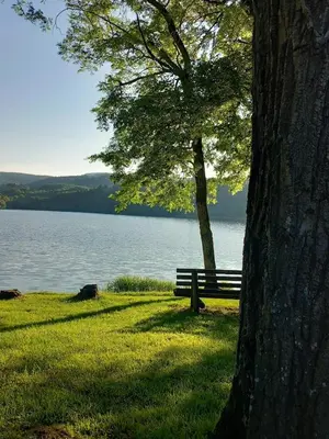 a park bench sitting next to a tree next to a lake at Chambre d'hote la passerelle in Mazamet