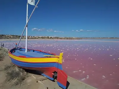 a boat sitting on the shore of a body of water at Appartement T2 moderne avec piscines, garage et proche plage - Gruissan - FR-1-796-43 in Gruissan
