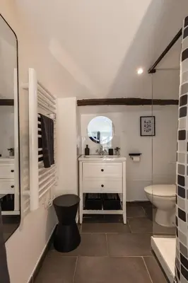a bathroom with a sink and a toilet and a mirror at Le Sunny - Cocon Lumineux au Cœur de Castres in Castres