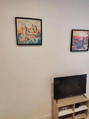 a flat screen tv on a wall with two pictures at Charmant T2 au cœur de Narbonne in Narbonne