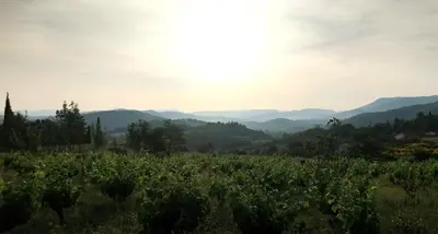 a vineyard in the mountains with the sun in the sky at La Caravane d'Alon in Magrie