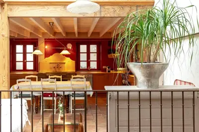 a kitchen with a table with a potted plant on it at Loft centre-ville Parking, clim, wifi in Carcassonne