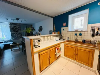 a kitchen with blue walls and wooden cabinets and a sink at Maison de village in Peyriac-Minervois
