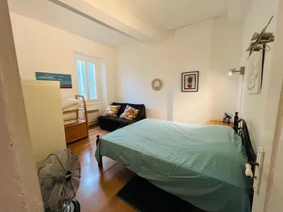 a bedroom with a green bed and a fan at Maison de village in Peyriac-Minervois