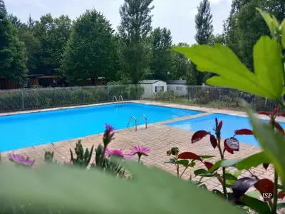 a large swimming pool in a yard with plants at Chalet Zen in Vaudreuille