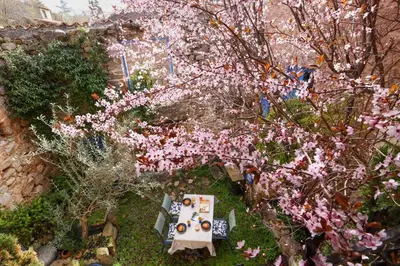 a table and chairs under a tree with pink flowers at Villa en campagne avec cour intérieure in Arques