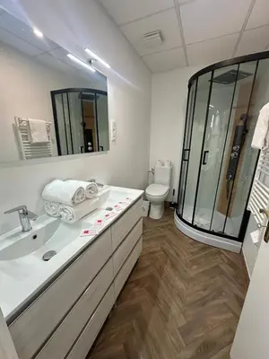 a bathroom with a sink and a toilet at Studio à Baldaquin du Cloitre in Narbonne