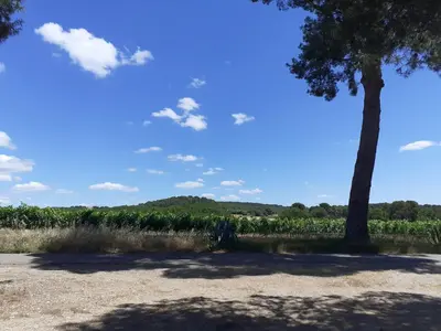 a tree and a field with a hill in the background at Location maison de campagne 5 personnes in Quarante