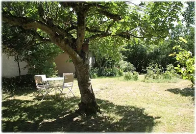 a table and chairs under a tree in a yard at La Maison de Berthe - Havre de paix dans la campagne - Entièrement rénovée et équipéé in Montmaur