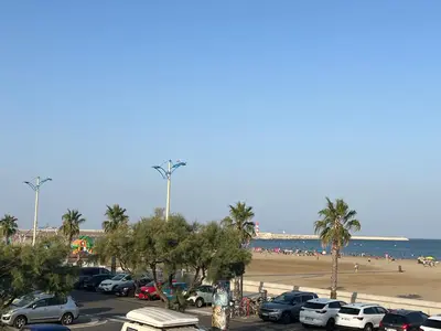 a parking lot next to a beach with palm trees and cars at Appartement T2 climatisé avec parking, près de la plage, 5 couchages - FR-1-797-12 in Port-la-Nouvelle