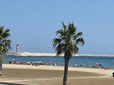 a palm tree on a beach with a lighthouse at Agréable T2 pour 5 pers, 1er étage, climatisé, parking sécurisé - FR-1-797-6 in Port-la-Nouvelle