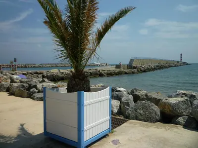 a palm tree in a blue and white planter on the beach at Appartement T2 mezzanine 4/5 pers à 250m de la plage, balcon, vue panoramique - FR-1-797-26 in Port-la-Nouvelle