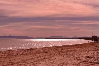 a sandy beach with a body of water at Gruissan plage des chalets petit logement en rdc in Gruissan