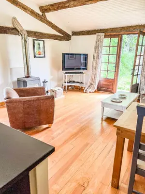 a living room with a couch and a tv at La Bastide in Puycalvel Lautrec