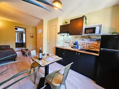 a kitchen and living room with a table and chairs at Tout confort ! Ville, Calme, Cinéma privé, Climatisation, Parking, WiFi in Carcassonne