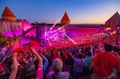 a crowd of people at a concert at night at Tout confort ! Ville, Calme, Cinéma privé, Climatisation, Parking, WiFi in Carcassonne
