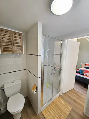 a bathroom with a toilet and a shower at Tout confort ! Ville, Climatisation, Parking, Wifi, Calme, TV in Carcassonne