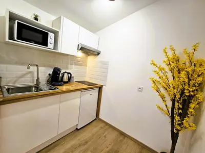 a small kitchen with a sink and a microwave at Tout confort ! Centre-ville, Climatisation, Parking, Wifi, Calme, TV in Carcassonne
