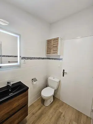 a bathroom with a toilet and a sink at Tout confort ! Centre-ville, Climatisation, Parking, Wifi, Calme, TV in Carcassonne